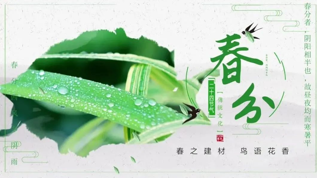 今日春分 | 春之建材，莺啼燕语